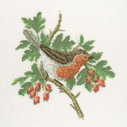 Robin by David Merry Cross Stitch Kit