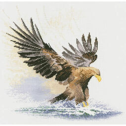 Eagle in Flight Cross Stitch Kit