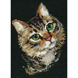 Colourful Cat Cross Stitch Kit