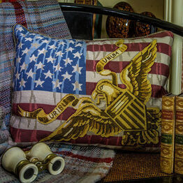 Stars & Stripes Cushion Panel Needlepoint Tapestry Kit