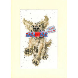 Special Delivery Cross Stitch Card Kit