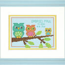 Mini Owl Birth Record Cross Stitch Kit additional 2