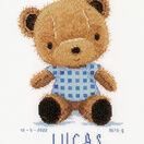 Cute Teddy Bear Birth Sampler Kit additional 1