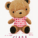 Cute Teddy Bear Birth Sampler Kit additional 2