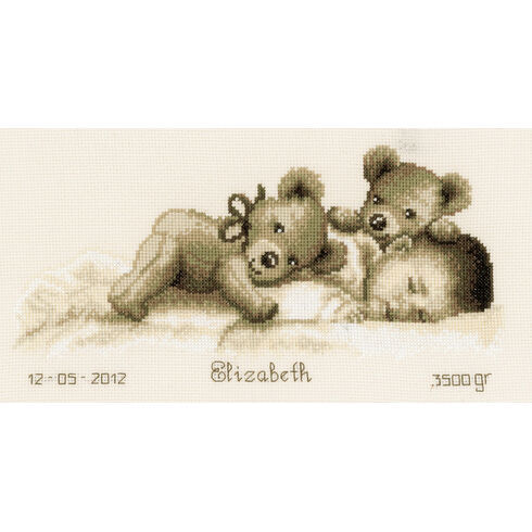 Sleeping With Teddy Bear Birth Sampler Cross Stitch Kit