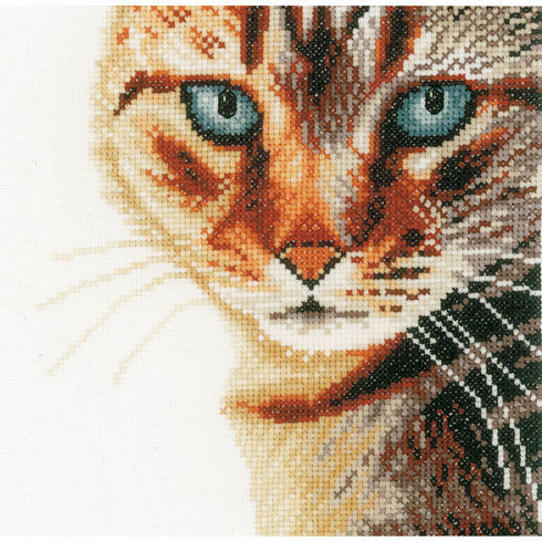 Cat Close-Up Cross Stitch Kit