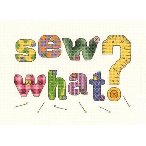 Sew What Cross Stitch Kit