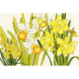 Daffodil Blooms Cross Stitch Kit