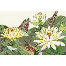 Water Lily Blooms Cross Stitch Kit
