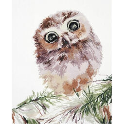 Wonderment Owl Cross Stitch Kit