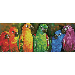 Rainbow Parrots Diamond Dotz Kit