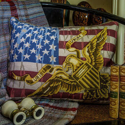 Stars & Stripes Cushion Panel Needlepoint Tapestry Kit