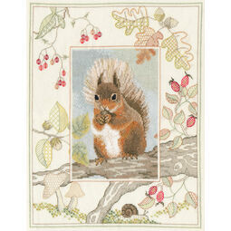 Wildlife - Red Squirrel Cross Stitch Kit