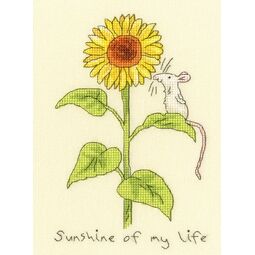 Sunshine Of My Life Cross Stitch Kit