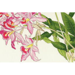 Orchid Blooms Cross Stitch Kit