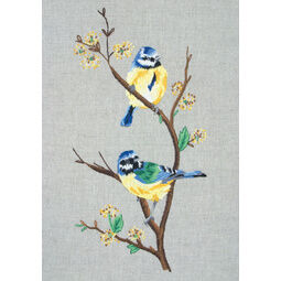 Blue Tits Embroidery Kit