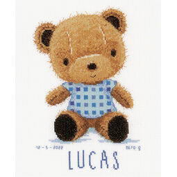 Cute Teddy Bear Birth Sampler Kit