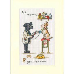 Lab Report Cross Stitch Kit