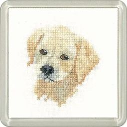 Little Friends Golden Labrador Coaster Cross Stitch Kit