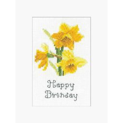 Daffodils Card Cross Stitch Kit by John Clayton