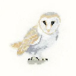 Little Friends Barn Owl Cross Stitch Kit