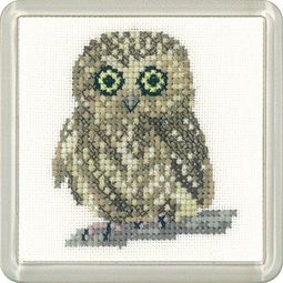 Little Friends Owl Cross Stitch Kit
