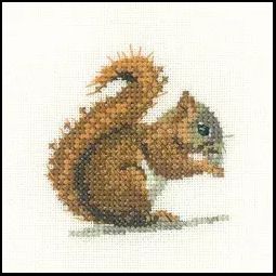 Little Friends Red Squirrel Cross Stitch Kit