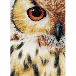 Owls Eye Cross Stitch Kit