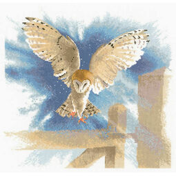 Owl in Flight Cross Stitch Kit