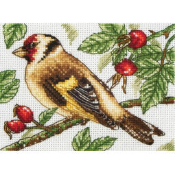 Goldfinch Cross Stitch Kit