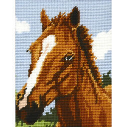 Horse Beginners Tapestry Kit