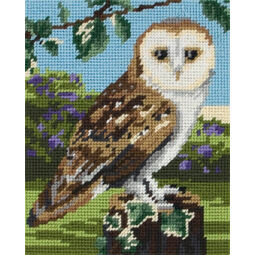 Owl Tapestry Kit for Beginners