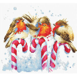 Christmas Birds Cross Stitch Kit