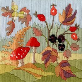 Autumn Seasons Long Stitch Kit