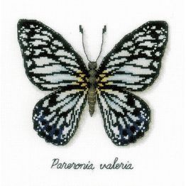 Blue Butterfly Study Cross Stitch Kit