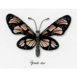 Orange Butterfly Study Cross Stitch Kit