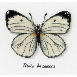 White Butterfly Study Cross Stitch Kit