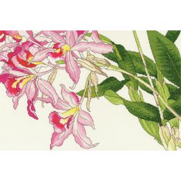 Orchid Blooms Cross Stitch Kit
