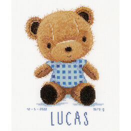 Cute Teddy Bear Birth Sampler Kit