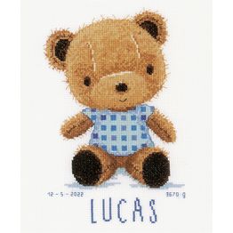 Cute Teddy Bear Birth Sampler Kit