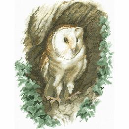 Barn Owl Cross Stitch Kit