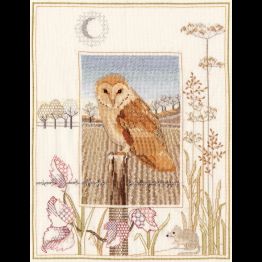 Wildlife - Barn Owl Cross Stitch Kit