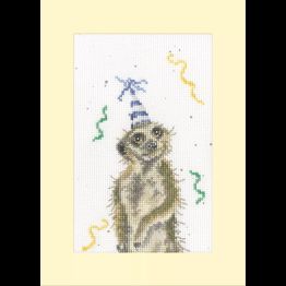 On The Lookout For A Party Thread and Fabric Pack