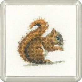 Little Friends Red Squirrel Coaster Cross Stitch Kit