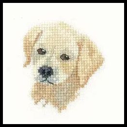 Little Friends Golden Labrador Puppy Cross Stitch Kit