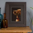 Labrador Cross Stitch Kit additional 2