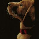 Labrador Cross Stitch Kit additional 1