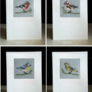 Birds Set Of 4 Mini Beadwork Embroidery Card Kits (Blue Tit, Greenfinch, Chaffinch & Goldfinch) additional 1