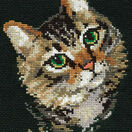 Colourful Cat Cross Stitch Kit additional 1