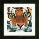 Tiger Cross Stitch Kit additional 2